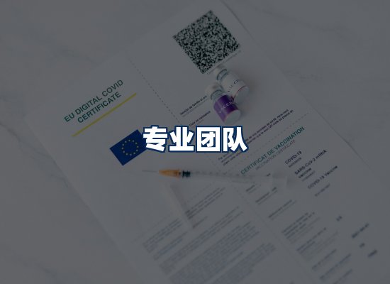 专业团队