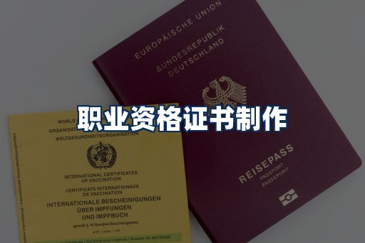职业资格展示