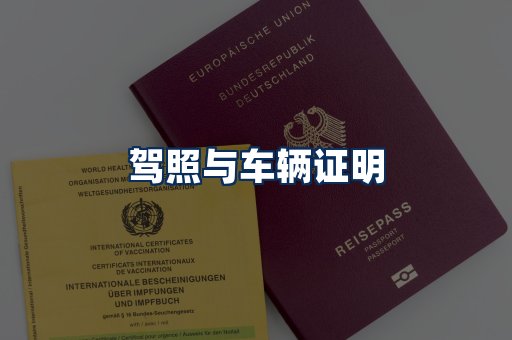 车辆证明展示
